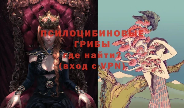 трава Верея