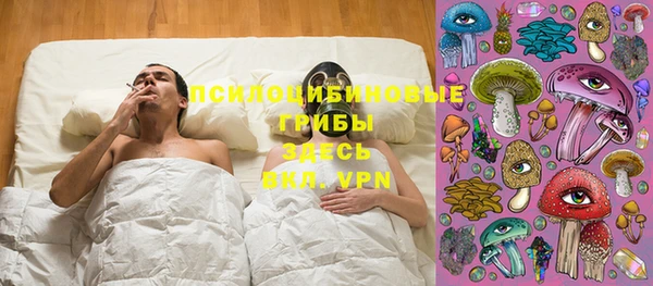 трава Верея